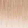 Platinum Plava Ombre